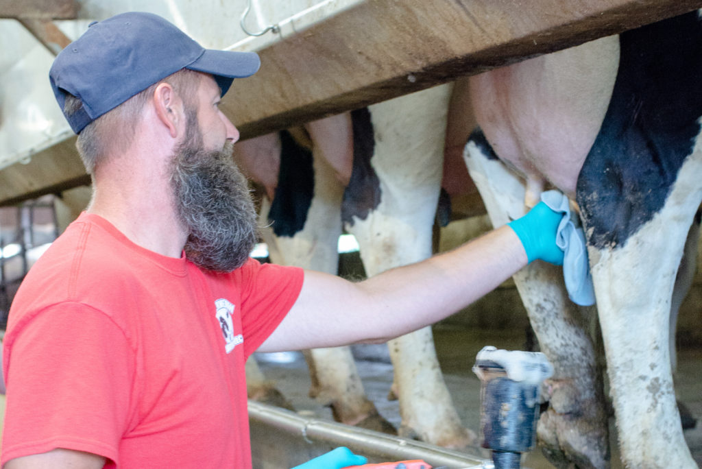 Maintaining market share means excelling in udder health - MMPA